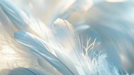 Obraz premium A close-up of delicate light blue feathers, highlighting their softness and intricate details in a serene, light-filled setting.