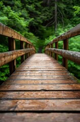 Fototapeta premium Wooden bridge leading through lush green forest
