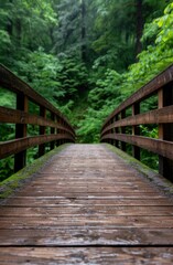 Fototapeta premium Wooden bridge in lush green forest