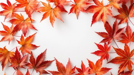 Fototapeta premium Vibrant Red Maple Leaves Arranged in Circular Pattern on White Background, Autumn Concept