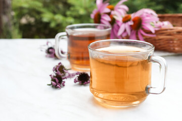 Herbal tea in a glass cups, fresh and dried flowers of echinacea on a marble background. Side view. Space for text. 