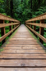 Fototapeta premium Wooden bridge through lush green forest
