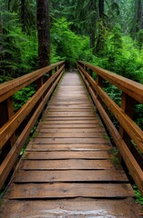 Wooden bridge in lush green forest