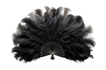A Black Feather Fan Against a White Background. on a White or Clear Surface PNG Transparent Background.