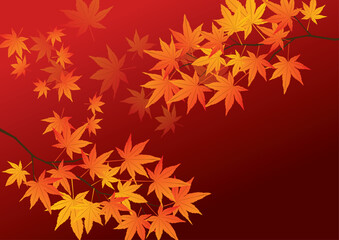 秋の紅葉和風背景
