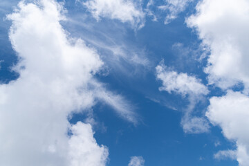 見上げると綺麗な青空