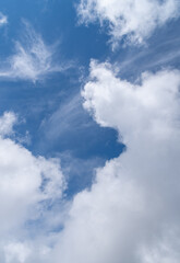 見上げると綺麗な青空