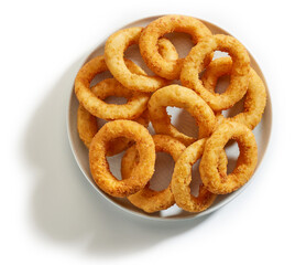 fried onion rings