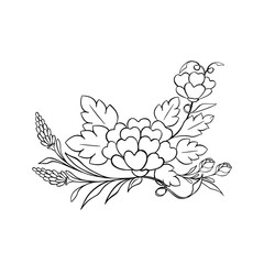 Lily decorative coloring book with flowers and decoration, vector illustration
