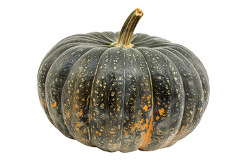 Big max pumpkin with a green stem isolated on a white background, great for autumn themes and decorations