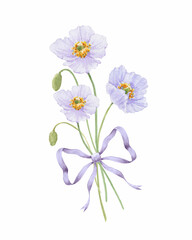 Beautiful floral illustration with gentle hand drawn watercolor poppy flowers. Stock illustration. Realistic watercolor flower clip art.