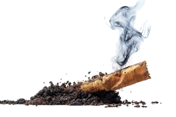 A Smoky Farewell: An Extinguished Cigarette and Its Ashes on a White or Clear Surface PNG Transparent Background