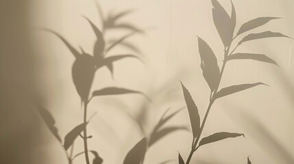 Obraz premium A calm image of plant shadows cast on a light background, invoking a sense of peace and simplicity, perfect for mindfulness journals or minimalist decor