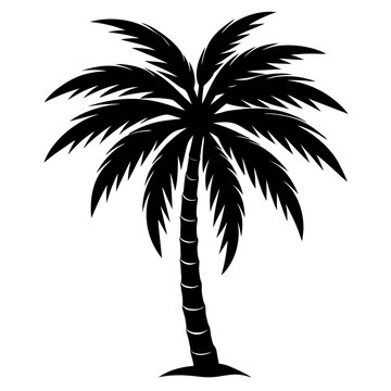 recommend clip art: palm tree black silhouette art illustration