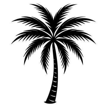 recommend clip art: palm tree black silhouette art illustration