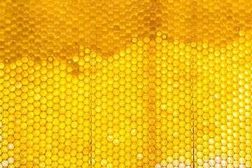 Drop of bee honey drip from hexagonal honeycombs filled with golden nectar
