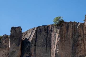 The tree on top of the mountain