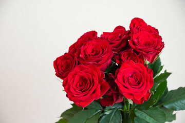 赤い薔薇