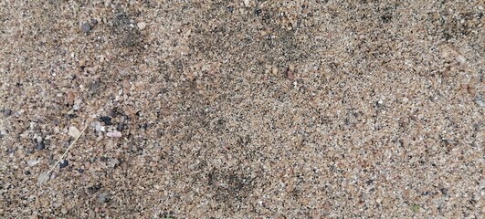 Texture of sandy beach as background, top view