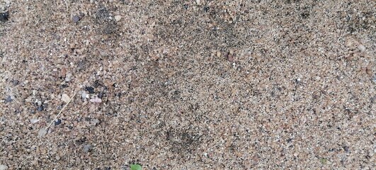 Texture of sandy beach as background, top view