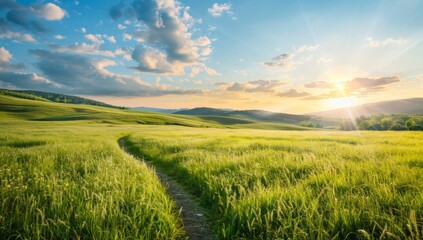 Scenic Landscape with Green Hills and a Dirt Path at Sunset