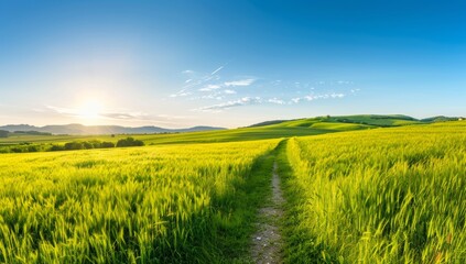 Fototapeta premium Scenic Landscape with Green Hills and a Dirt Path at Sunset