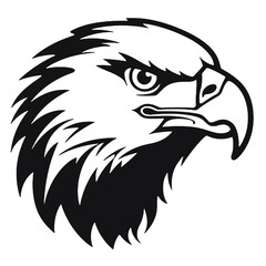 Illustration of bald eagle in drawing stencil style