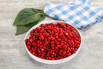 Ripe sweet wild organic cowberry
