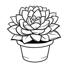 A black and white illustration of a potted succulent plant with detailed, layered petals