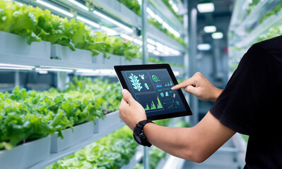 Smart farming argriculture concept.Man hands holding tablet on blurred organic hydroponic vegetable...