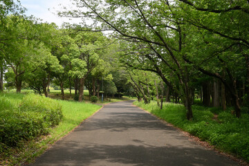 千葉ポートパーク