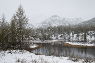 Summer snowfall in a mountain valley in early June. Harsh northern nature. Cold climate. View of a small lake and larch forest. Snow-capped mountains in the distance. Magadan region, Russia.