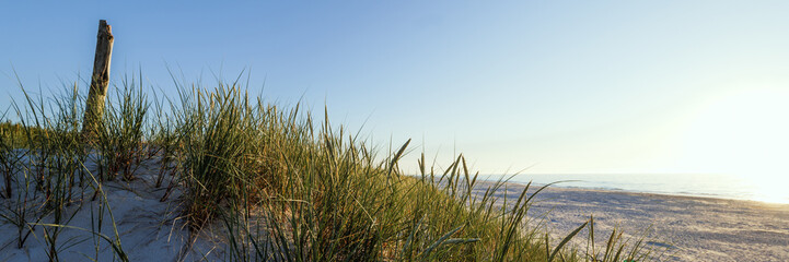 Banner showing a beautiful wide beach on the Baltic Sea at sunset. Grasses on the dune in the foreground. Slajszewo, Choczewo, Poland