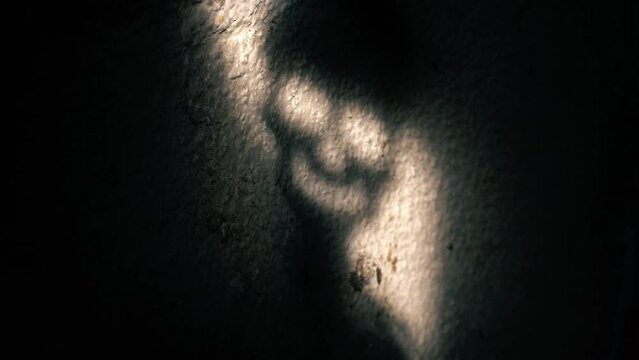 Dark skeleton ghost face shadow on background