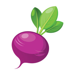 Illustration of Turnip fruit Isolated on white