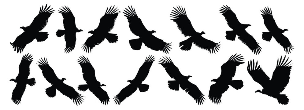 Vulture silhouette set vector design big pack of illustration and icon