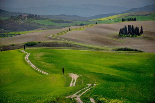 Scenic view of green hills near Montalcino, Tuscany, Italy