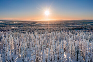 sunset over the forest