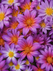 Obraz premium Close-ups of colorful flowers or unique plant species.