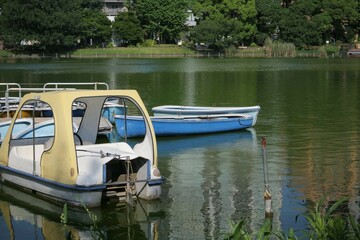 池で係留されているボート