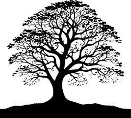 EPS Ash Deciduous Tree Silhouette Vector Art