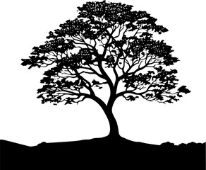 Obraz premium EPS Ash Deciduous Tree Silhouette Vector Art