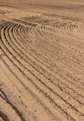 furrows in the field after tillage during sowing