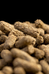 mixed food for healthy eating of rodent pets