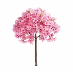 Fototapeta premium Vibrant Cherry Blossoms: Photorealistic Nature Scenery in Pink Hues Under the Sun, Isolated on White Background