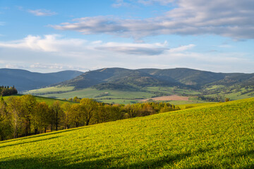 Fototapeta premium A scenic view of rolling green hills and distant mountains in the Kralicky Sneznik Mountains of Czechia. The landscape is bathed in warm sunlight, creating a serene and peaceful atmosphere.