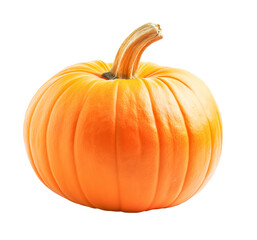 a ripe pumpkin, autumn vegetable, cut out