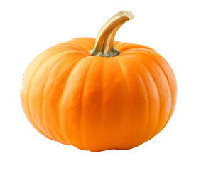 a ripe pumpkin, autumn vegetable, cut out