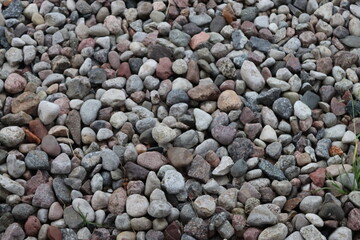 A close-up view of assorted colorful pebbles creating a textured and visually interesting surface.