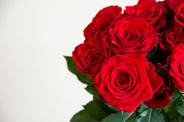 赤い薔薇